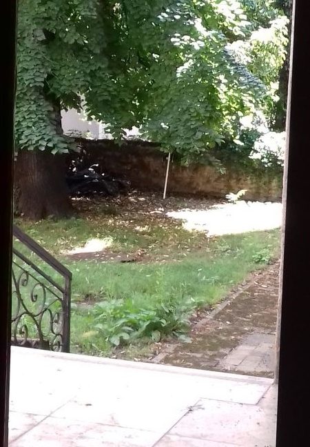 20190619_135935